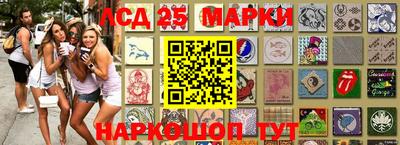 гашик Будённовск