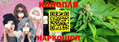 гашик Будённовск