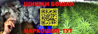 гашик Будённовск